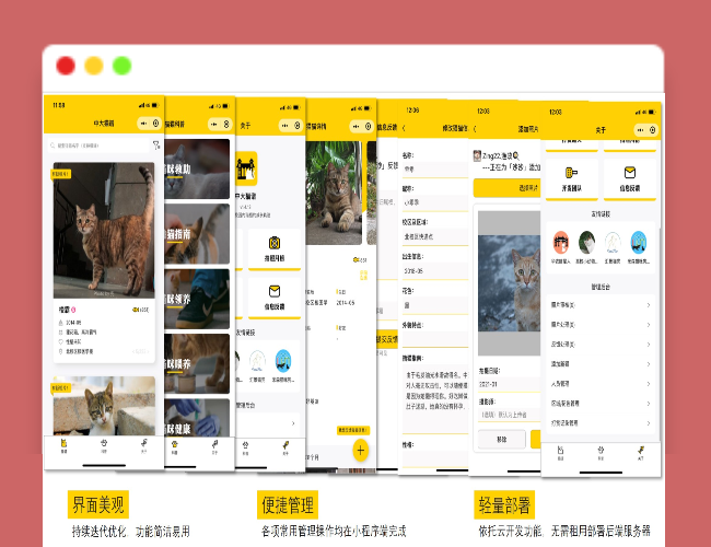 校园流浪猫信息记录和分享的小程序源码